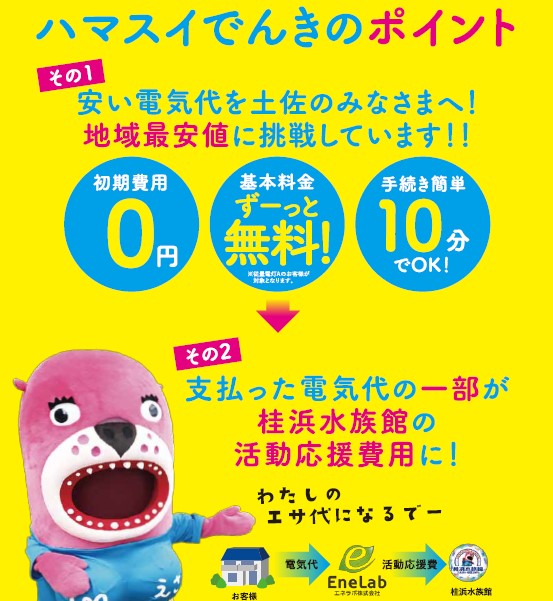 【四国エリア】 ハマスイでんき 受付中!